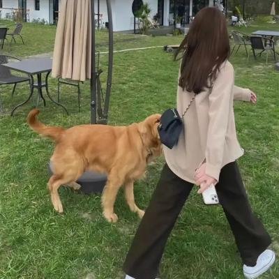 狮口惊魂 在线观看