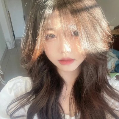 林肯的最后一天 在线观看